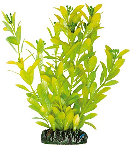 Aquatic Plants AP1021 Planta Hygrophila Polysperma Artificial para Acuarios, 20,5 Cm