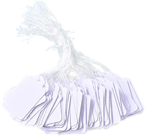 Armastuse 100 Pezzi Di Cartellini Del Prezzo Con Stringa, Mini Dimensioni Vestiti Gioielli Indumento Tag Appendere Tag, Etichette Di Carta Per Etichette Di Marcatura Bianche