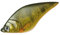 Sänger Top Tackle Systems Unisex – Erwachsene 10C4039507122904C10 Iron Claw Doiy-Wobbler Sosa 115 Sambai Farbe SP, Bunt, Normal