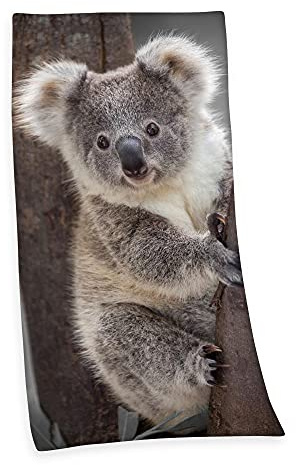 Herding Velourstuch Duschtuch Badetuch Strandtuch mit Koala 75 x 150cm