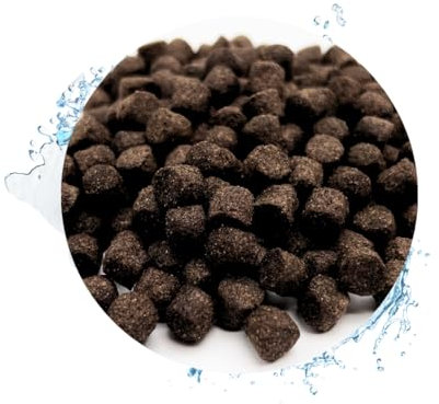 KOI - KOIFUTTER - Winter sinkend 5 mm Herbst & Winterfutter (5KG)