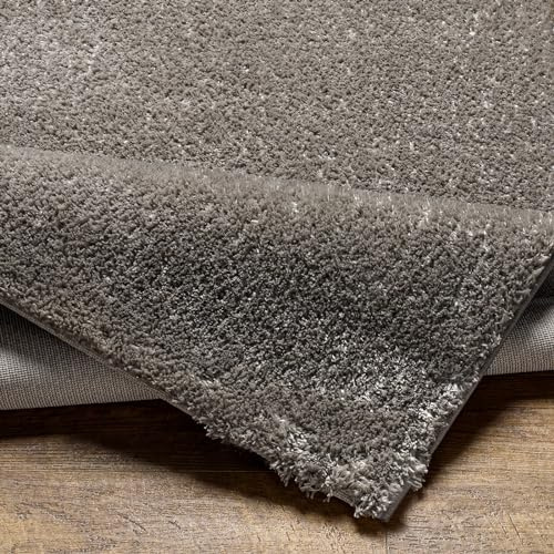 Livabliss Shaggy Berber - Flauschiger groß für Wohnzimmer, Esszimmer, Schlafzimmer, Langflor Hochflor e flauschig - 160x213 cm, Wohnzimmer in Dunkelgrau
