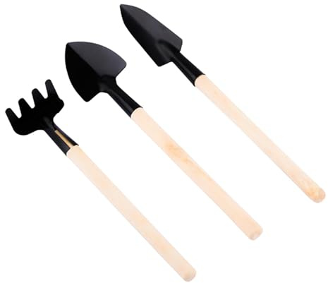Ensemble d'outils de jardin, ensemble d'outils de jardinage d'intérieur, ensemble d'outils pour terrarium, râteau à pelle pour desserrer la plantation, outil de jardinage, jeu