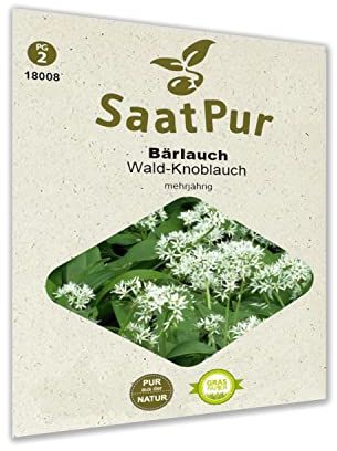 SaatPur Bärlauch Samen für ca. 50 Pflanzen