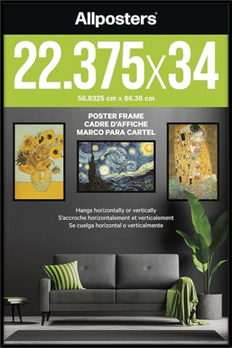 Allposters Standard Poster Frame (22.4 x 34), Black
