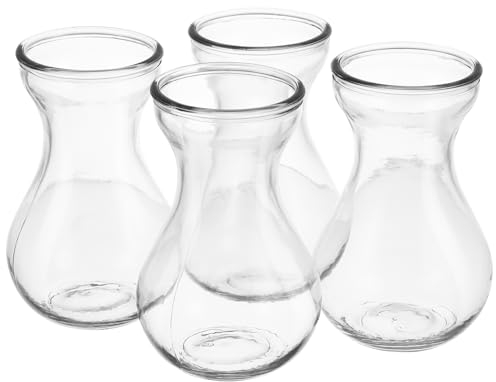 RORPOIR 4pcs Hyacinth Vase Small Glass Vases for Flowers Clear Bud Vases for Home Decor Transparent Glass for Hyacinth Bulbs Perfect for Weddings Parties Holidays