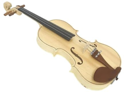 Professionisti Violino Kit Violino Acustico Per Principianti Starter Custodia Per Violino 4/4 Spalla Corde Per Arco Panno Per Pulizia Sintonizzatore