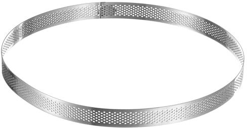uxcell Stainless Steel Small Cake Rings, Perforated Cake Mousse Ring Kitchen Baking Heat-Resistant 9.75 Diameter, 0.8 Height,for Cake Dessert, Silver
