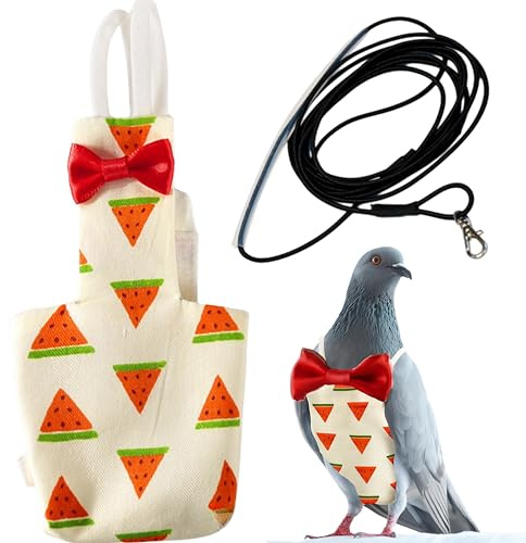 Birds Pigeon Diaper Pants Harness and Leash, Bird Diapers for Pigeons and Leash Harness, Diapers for Birds Cockatiel Parrot, Parakeet Diaper, Pigeon Pants, Parrot Clothes for Bird (XL-Watermelon)