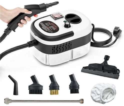 Pulitore a vapore da 2500 W, disinfezione ad alta temperatura, aria condizionata, cappa da cucina, pulitore a vapore domestico 110 V/220 V(Silver,220 V)
