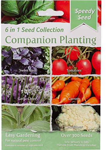 6 in 1 Seed Collection Patio Vegetables (Chilli Pepper, Aubergine, Sweet Pepper, Sweetcorn, Dwarf Bean, Cherry Tomato) (Companion Planting)
