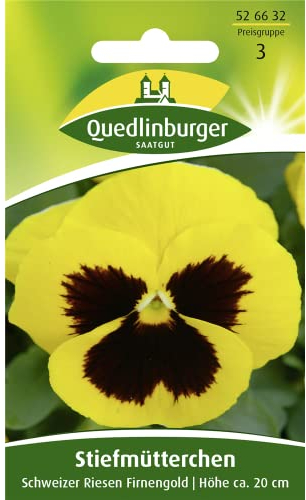 Quedlinburger Riesen-Stiefmütterchen gelb 'Schweizer Riesen', 1 Tüte Samen