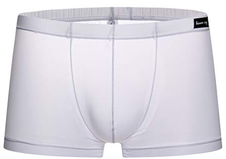 Panegy Herren Low Rise Transparent Glatt Nylon Boxershorts Boxer Briefs Unterwäsche Cool Atmungsaktiv Viskose Reizwäsche Herstellergröße M/EU S - Weiß