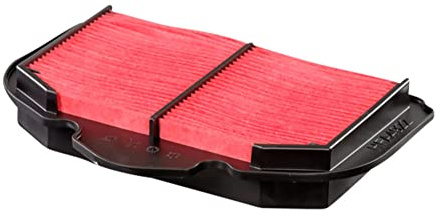 FILTRO ARIA HIFLO HFA4922