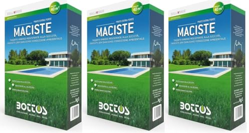 Maciste - Sementi per tappeto erboso - Ideale per zone aride - 1 Kg - OFFERTA 3 CONFEZIONI