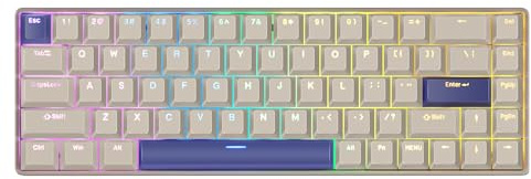 DrunkDeer G65 Rapid Trigger Clavier mécanique interrupteurs magnétiques 68 Touches OEM Profil PBT Keycap Double Coup Gaming Keycap Custom