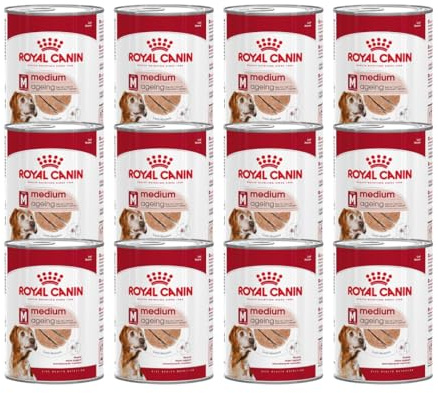 Royal Canin Medium Ageing 7+ Mousse | 12 x 410 g | Alimento completo per cani anziani di taglia media dai 7 anni in su