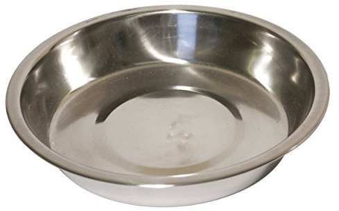Rosewood Stainless Steel Bowl Shallow Puppy Pan, 8-inch, clear