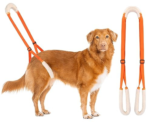 Lollanda Aide à la marche arrière pour chien - Aide au transport pour chiens âgés - Harnais pour pattes arrière - Aide à la marche pour chiens malades - Favorise la mobilité du chien - Orange