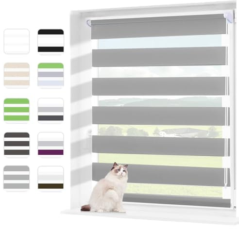 Wudomi Doppelrollo Klemmfix ohne Bohren Grau 55x150cm(BxH),Lichtdurchlässig und Verdunkelnd Duo Rollo,Klemmrollo Seitenzugrollo für Schlafzimmer, Badezimmer, Wohnzimmer Fenster und Tür