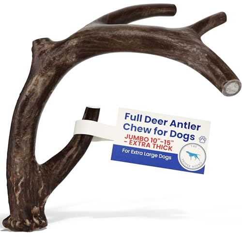 The Proper Hound Jumbo Whole Deer Antler - Långvarig hundtugga - Riktiga hjorthorn 25 till 38 cm