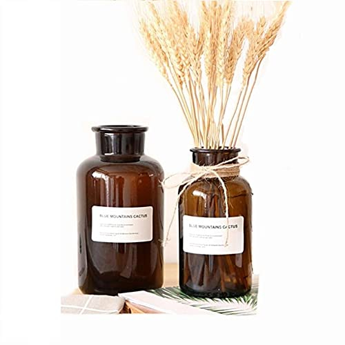 2PCS Glass Bud Vase Set Apothecary Jars Fragrance Bottles Amber Glass Bottles Simulation Vase Vintage Medicine Bottles Mini Flower Vases Centerpiece Wedding Home Bookshelf Table Decor (17+34OZ)