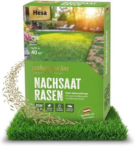 Hesa Professional Nachsaatrasen 1 kg für 40 m² - Schnellkeimende RSM 3.2