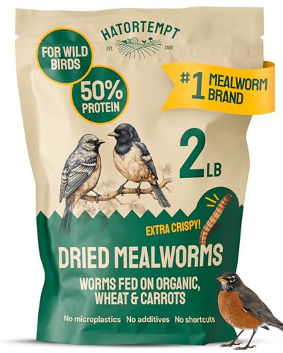 Hatortempt 2lb Dried Mealworms for Chickens - 50% Protein and 32% Essential Fats to Support Healthy Feather Growth During Molt - Organic Treats for Chickens, Ducks, Wild Birds & Reptiles