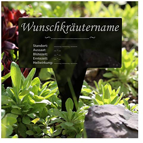 Verre acrylique Jardinière rectangulaire Noir – Jardin de table, herbes plante, mâle – Sélection Oregano