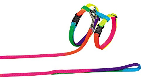 Nobby Set de Laisse/Harnais en Nylon pour Chat Couleurs de l'Arc