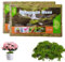 XPJBKC Sfagno, 2 x 150 g Nutrizionale Muschio per Orchidee, Sfagno per Orchidee Piante, Substrato per orchidee, sfagno per Bonsai, Piantine di Piante, Radicazione di Talee, Rettile