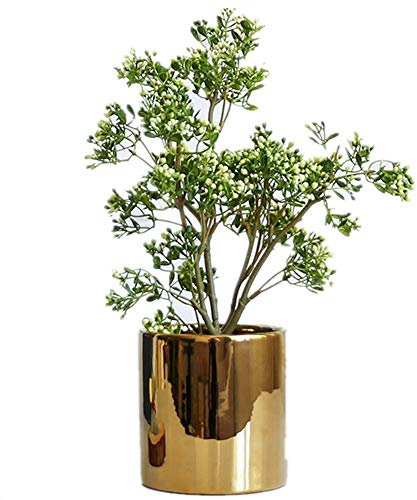 ZENGYUAN, pianta grassa in Vaso con Foglie Verdi per Piante grasse, Decorazione da Tavolo, per Interni e salotti D