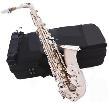 Professionell Saxofon Professionell Altsaxofon Träblåsinstrument Satin Nickel Med Fodral