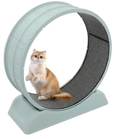 Deurqund Roue d'exercice pour chat, 80 cm, pour chats jusqu'à 10 kg, avec ceinture de sécurité et baguette de jeu, roue d'entraînement silencieuse pour la course et le jeu
