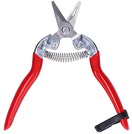 Ciseaux de Cueillette de Fruits et de Fleurs, Ciseaux D'élagage de Plantes, Coupe de Jardin, Sécateur Manuel de Précision, Coupe-herbes, Coupe-bonsaï, Lame Droite Tranchante pour