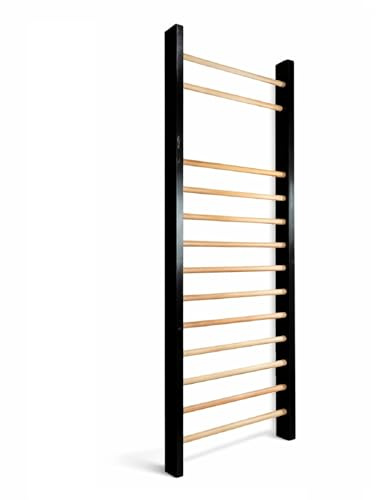 QLS Échelle de gymnastique en bois - 195 x 80 cm - Échelle de gymnastique murale en hêtre et pin - Charge maximale : 200 kg - Pour fitness et rééducation - Montage mural (noir)