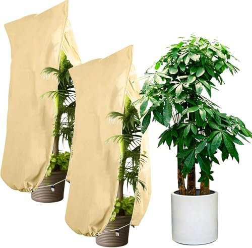 XREE 2 Stück Pflanzenschutz Winter, 180 x 120cm Winterschutz für Kübelpflanzen Olivenbaum Winterschutz mit Reißverschluss & Zugband Wetterfest für Baum Palmen Balkonpflanzen