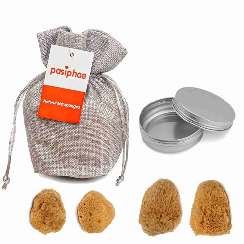 Intimate -Menstrual sea sponges,100% Natural Unbleached Sponge as a Natural Soft Tampon Alternative - Washable & Reusable, with Change Travel Box, 4 Pieces (2pcs*3-5cm + 2pcs*5-7 cm)