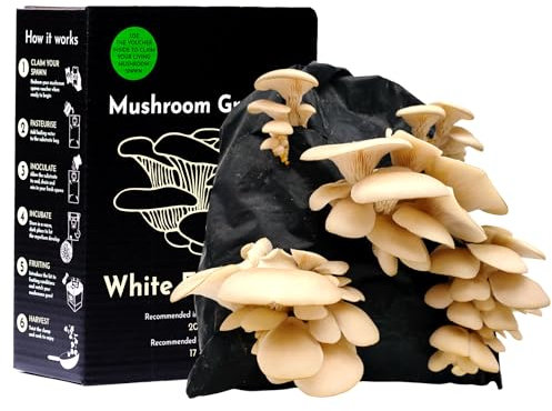 Urban Farm-It Mushroom Growing Kit (XL White Elm Oyster Mushroom) | Gifts for Women, Men & Kids | with Voucher to Claim Living Spawn Separately for Better Yield | Easy to Use & Delicious to Eat