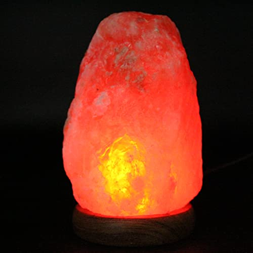 Générique Himalaya-Salzlampe, Pakistan 830 g, 130 mm