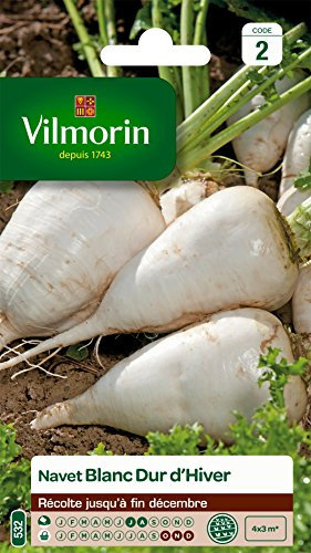 Vilmorin 3703242 Pack de Graines Navet Dur d'Hiver Blanc