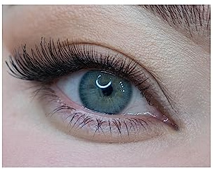 MYSALENS® Lentilles De Contact De Couleur Spanish Real Gray Gris Naturelle Kit De Rangement Boitier Pince applicateur Offert 12 Mois sans correction