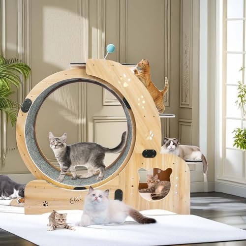 Cat Wheel, 4-in-1 Cat Exercise Wheel, Upgraded Cat Treadmill Wheel Exerciser for Indoor Cats, Large Cat Treadmill Running Wheel with Silent Wheel, Cat Walking Wheel Cat Furniture Cat Toys