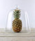 EMH Handmade Clear Circular Cake Glass Dome Display Cloche Bell Jar 31 cm