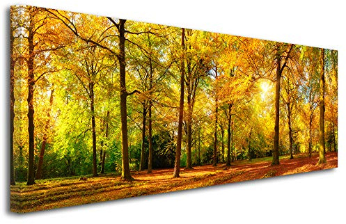 DECLINA Tableau Panoramique imprimé Foret en Automne - Impression Photo Paysage sur toile décoration murale - Déco maison, cuisine, salon, chambre adulte - 120x50 cm