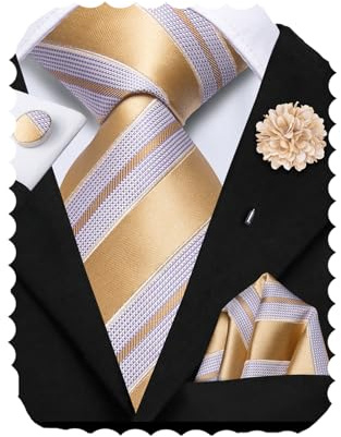 Hi-Tie Champagne White Ties for Men Silk Mens Tie Striped Necktie Pocket Square Cufflinks Flower Lapel Pin Set for Business