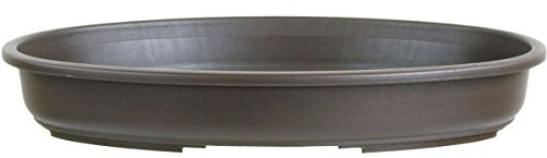 Bonsai pot 30x21x5cm dark brown oval plastic