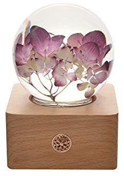 Dr. Pets Miss Li Garden Boule de Cristal d'hortensia Rose éternel avec lumières LED pour Son épouse, Petite Amie,