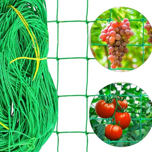 LUMOOM Robusta rete per cetrioli, pomodori e piante rampicanti, forte rete da giardino con maglie di 10 cm di larghezza, rete di supporto per la guida delle piante per serra da giardino e terrazza