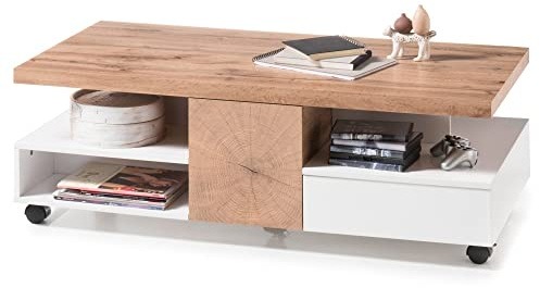 Robas Lund Couchtisch weiß Matt Wohnzimmertisch, Hirnholzoptik BxHxT 120x40x60 cm